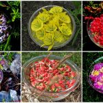 Sanación vibracional por el sentido del grupo: Elixires de Flores y Gemas