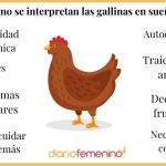 significado-del-sueno-de-la-gallina-1.jpg