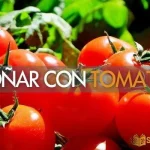 Soñar con tomates Interpretación del significado de los sueños con tomates