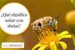 Soñar con una abeja en el Islam interpretando el concepto del sueño de la abeja en el Islam